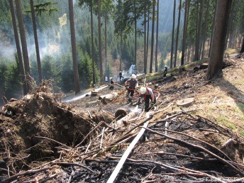2009_04_10 Waldbrand Sieber 010